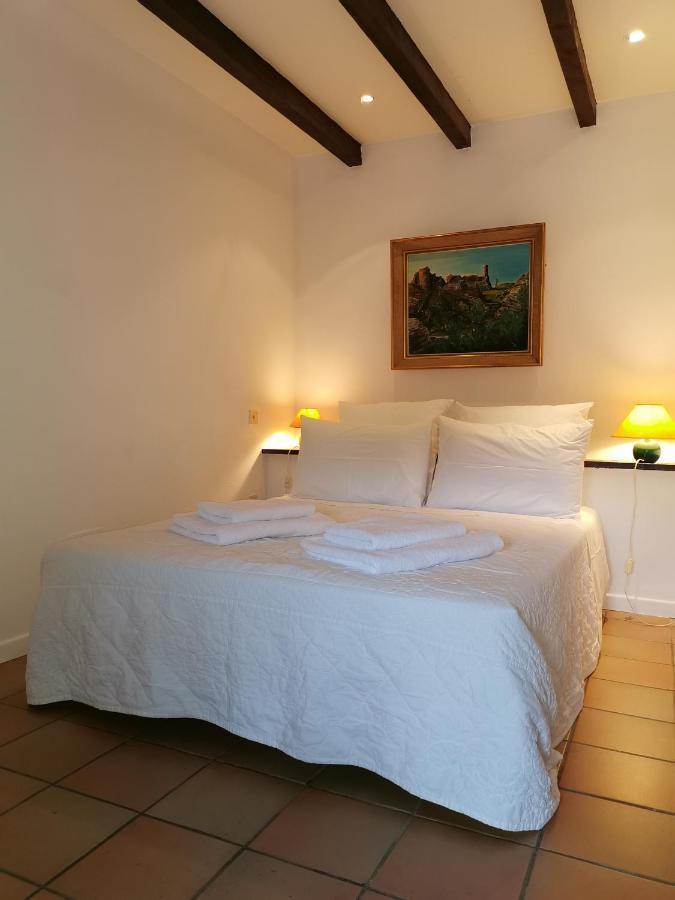 Le Cellier De Beaulieu, Au Pied De La Cite, Maison De Vacances Avec Climatisation Et Jacuzzi Carcassonne Bagian luar foto