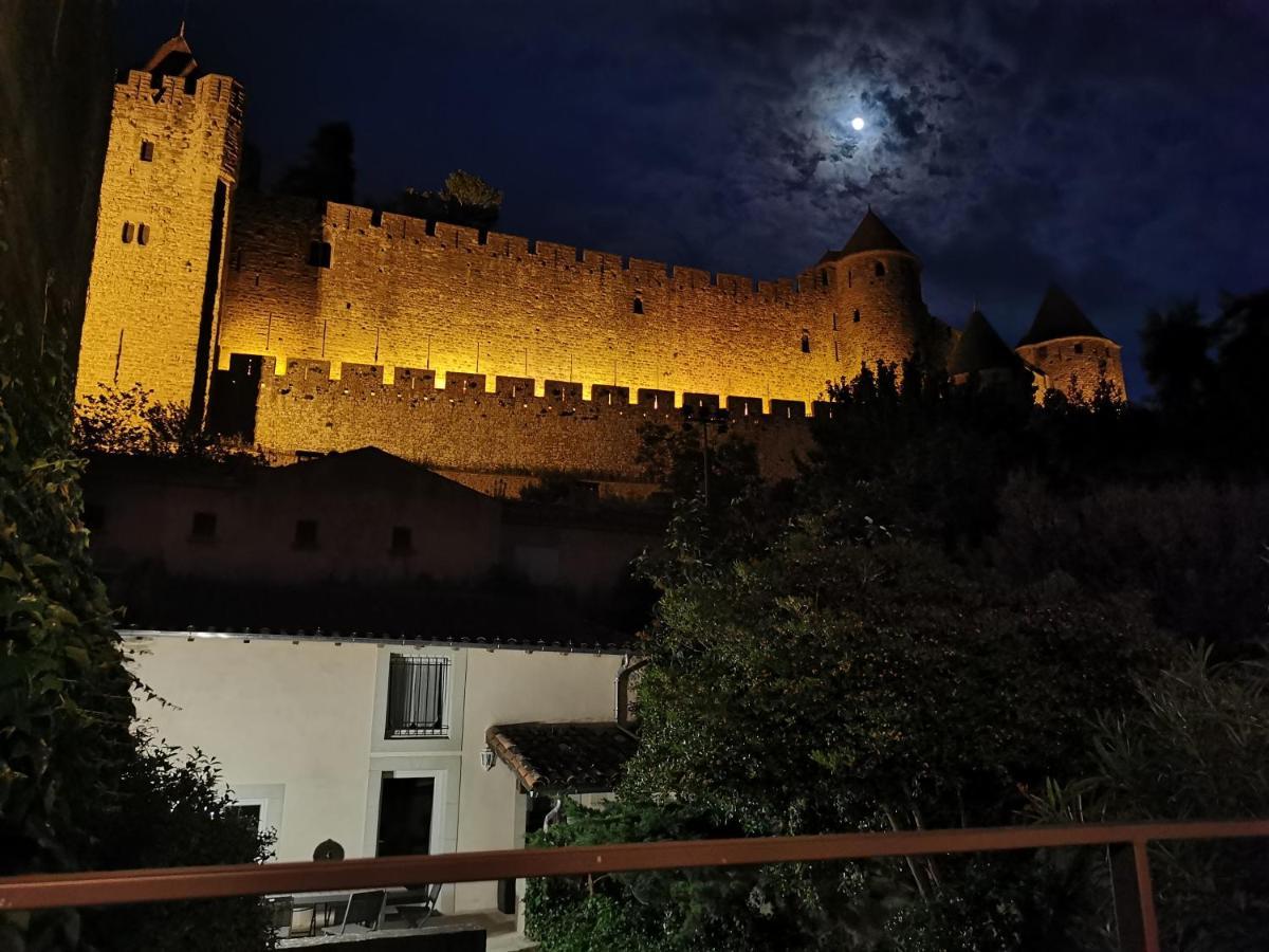Le Cellier De Beaulieu, Au Pied De La Cite, Maison De Vacances Avec Climatisation Et Jacuzzi Carcassonne Bagian luar foto